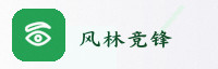战略伙伴